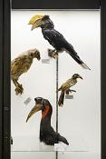 museo di zoologica bologna 8-2022 4569